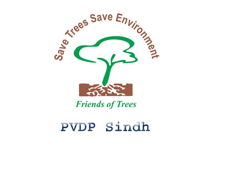 PVDP logo