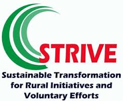STIVE logo
