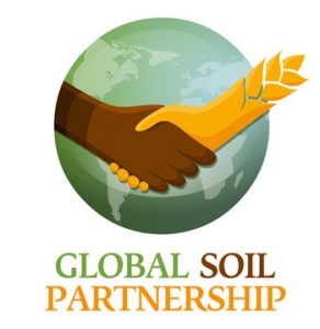 global Soil