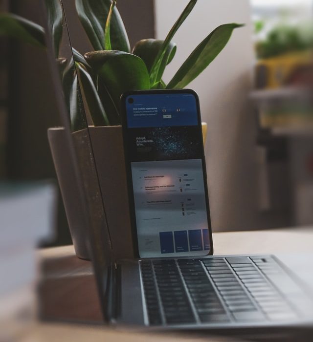 sigmund-65u8D-iNh0M-unsplash
